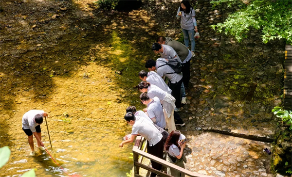 融入夏日山野 · 享受简单自在 | 2024年陕西铭泽金丝峡团建之旅圆满结束