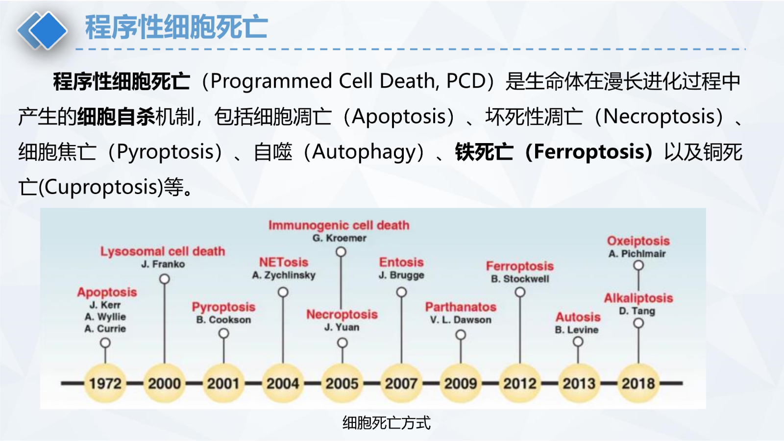 铁死亡