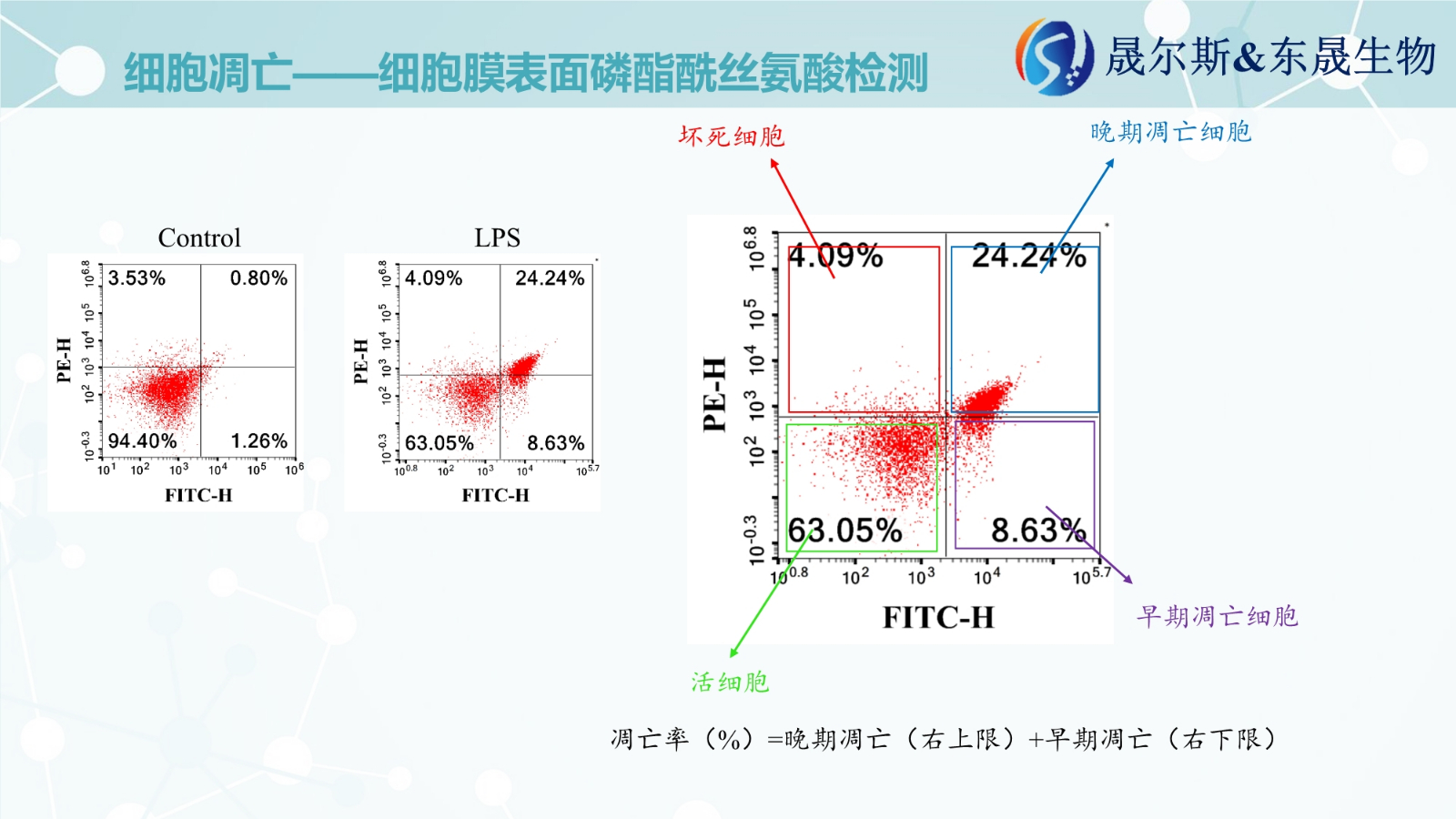 细胞凋亡