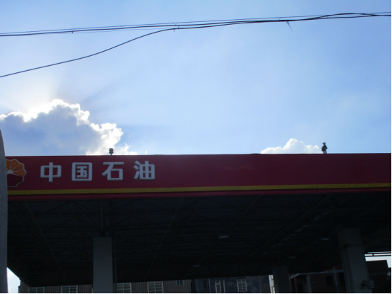 信息公示
