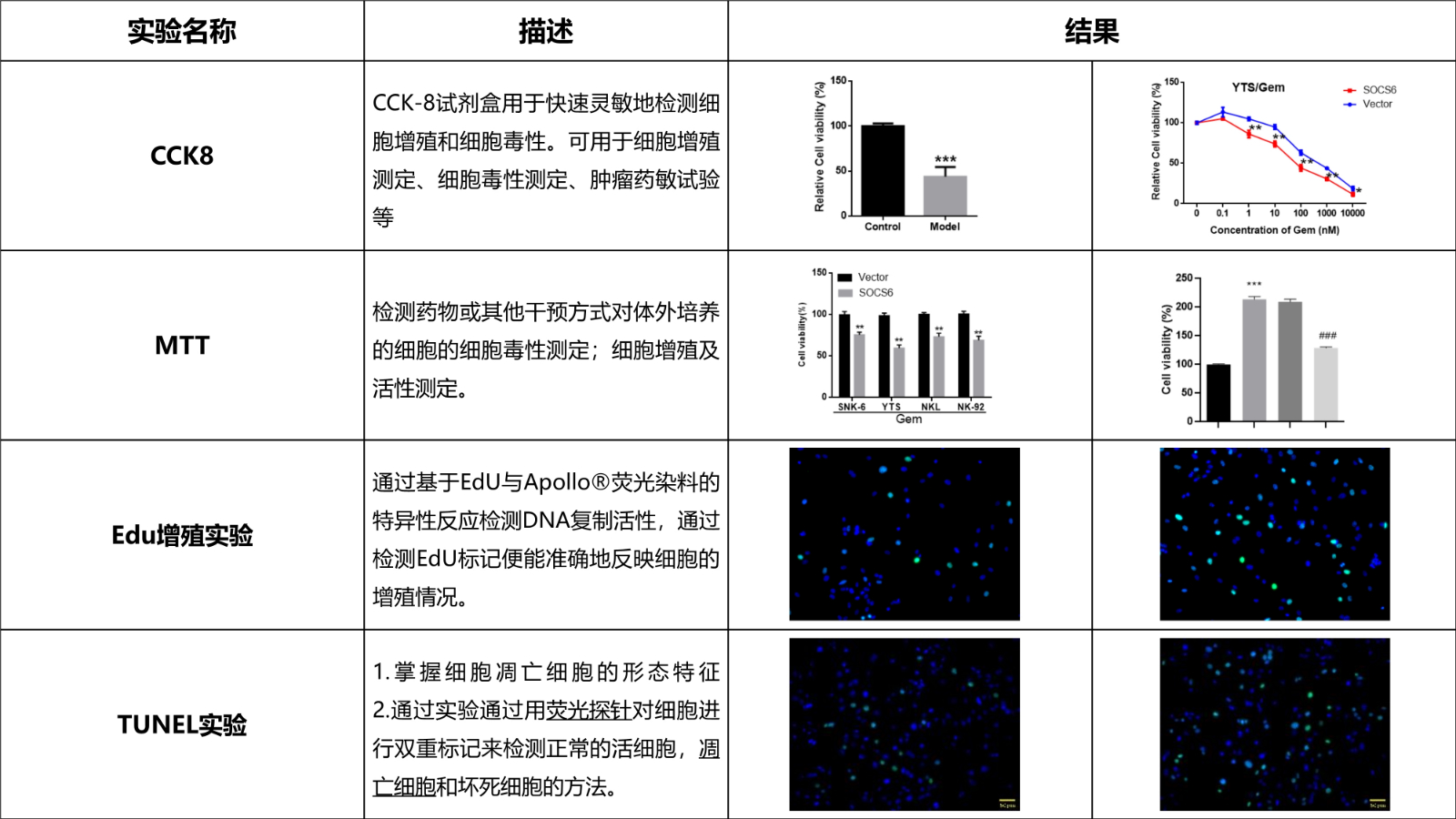 细胞实验