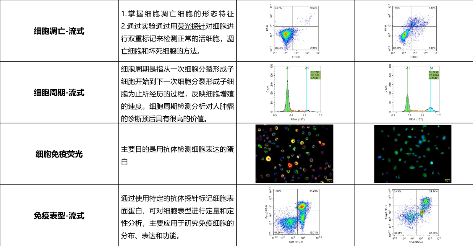 细胞实验