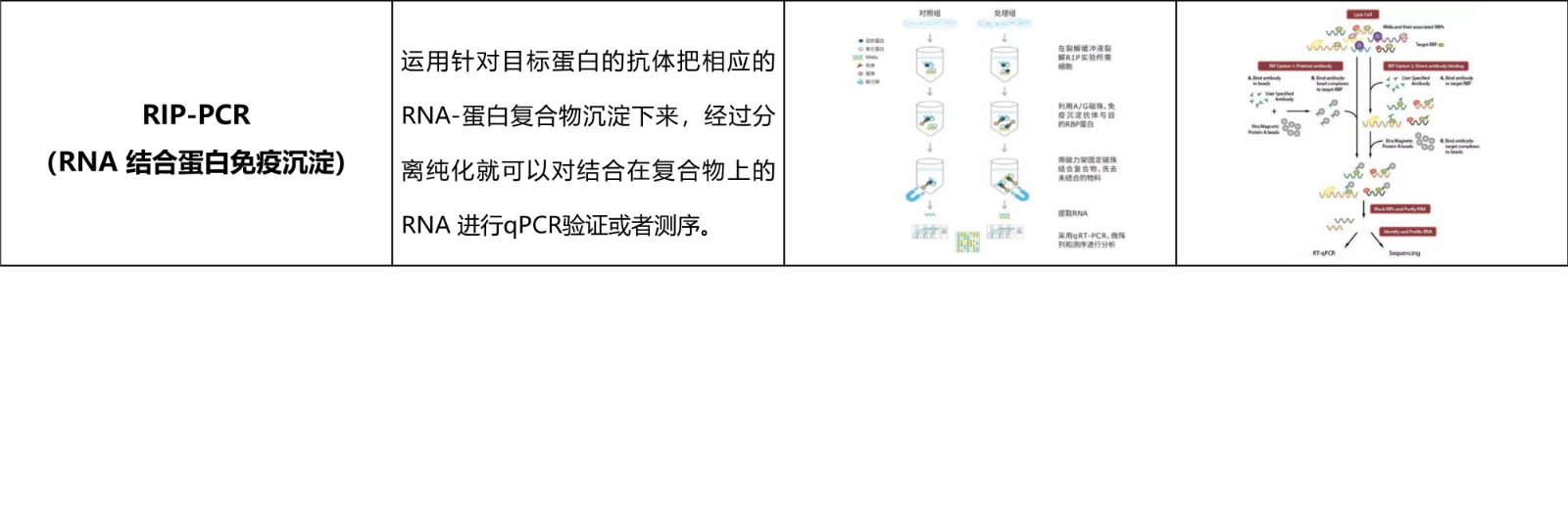 分子实验
