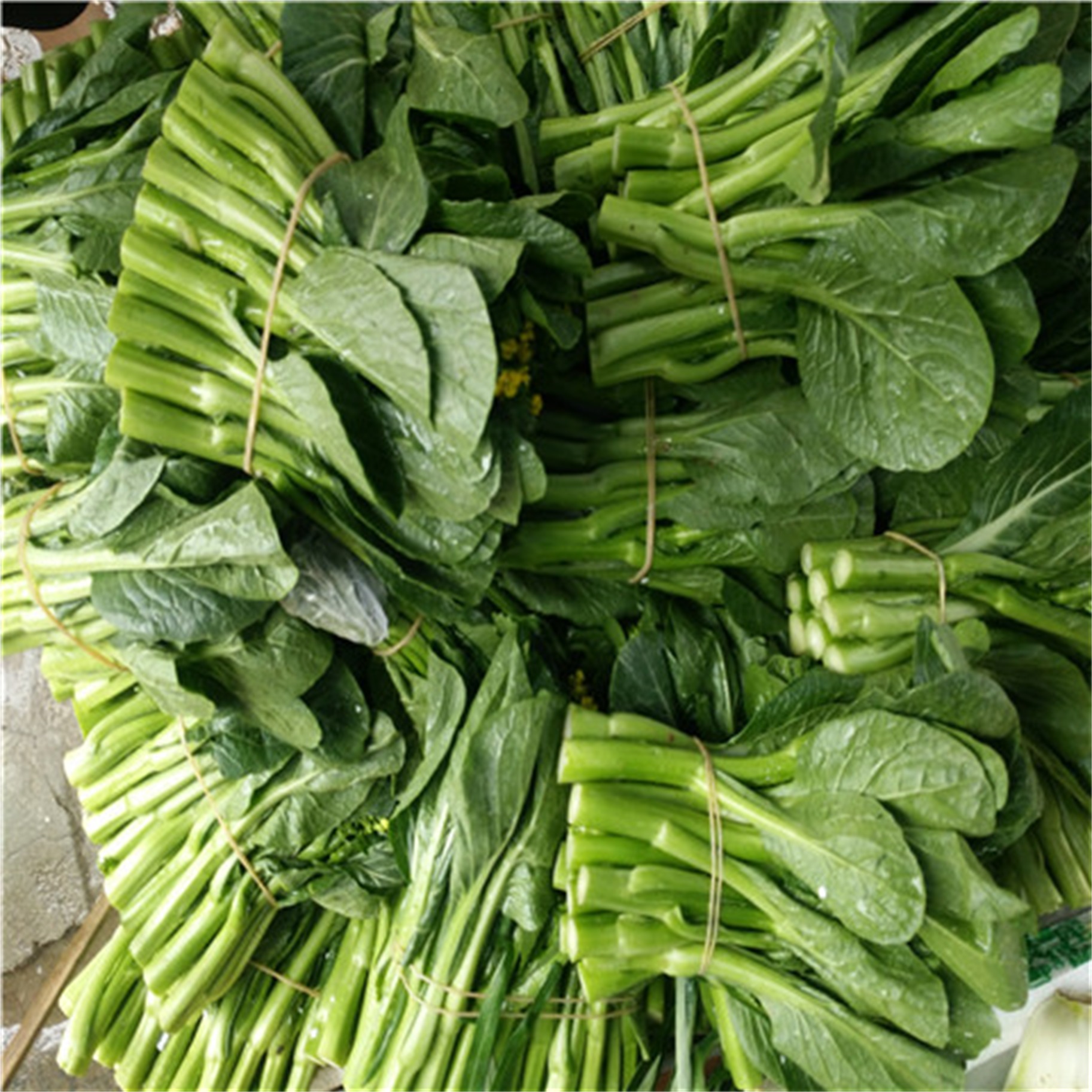 蔬菜