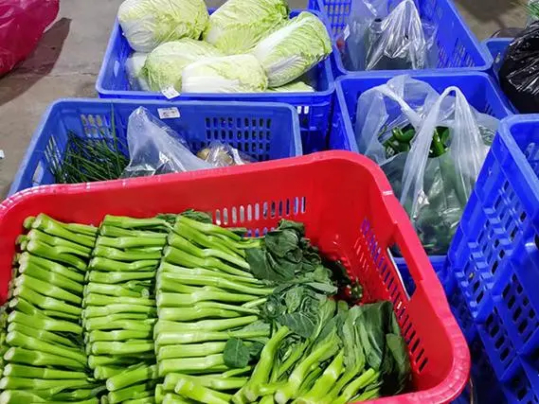 蔬菜
