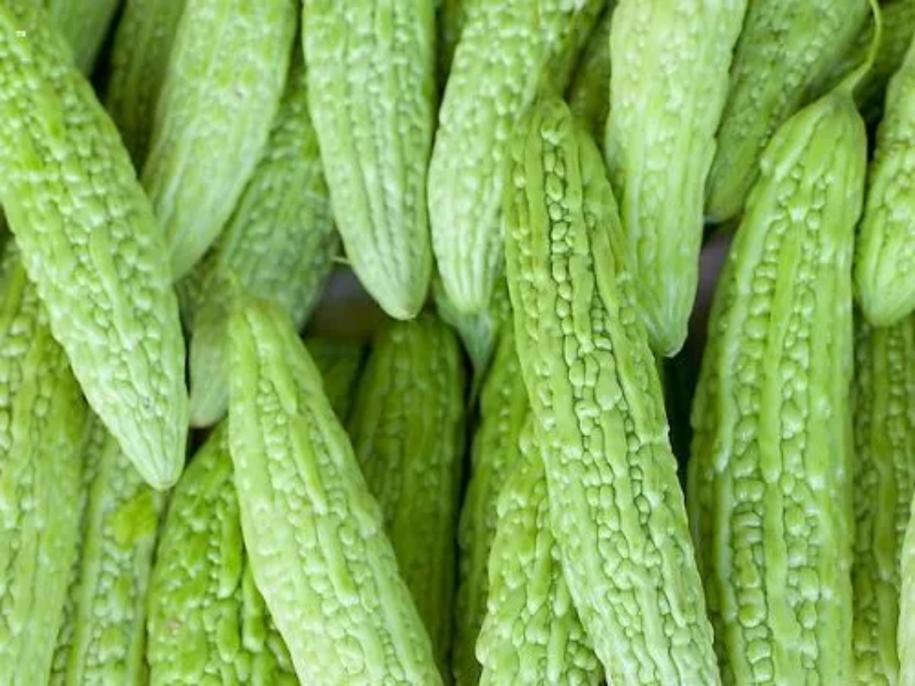 蔬菜