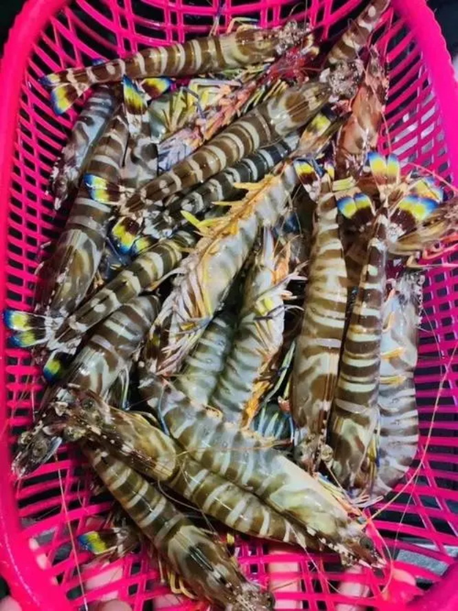 海鲜
