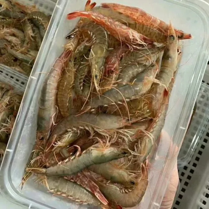 海鲜