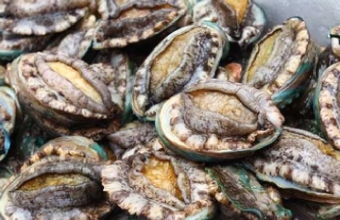 海鲜