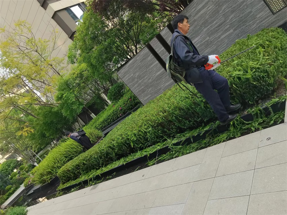 厂区