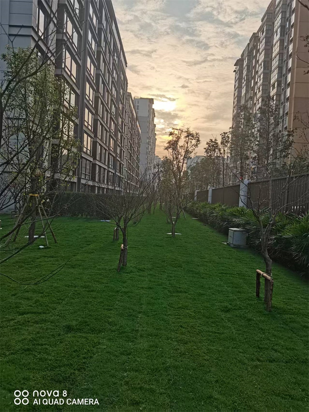 厂区