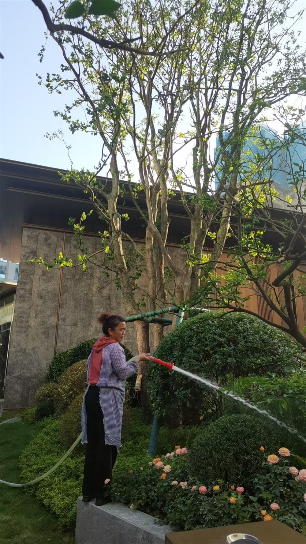 小区