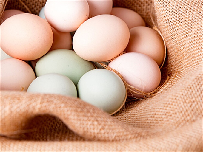 藏鸡蛋