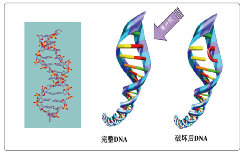 纯化水微生物的控制