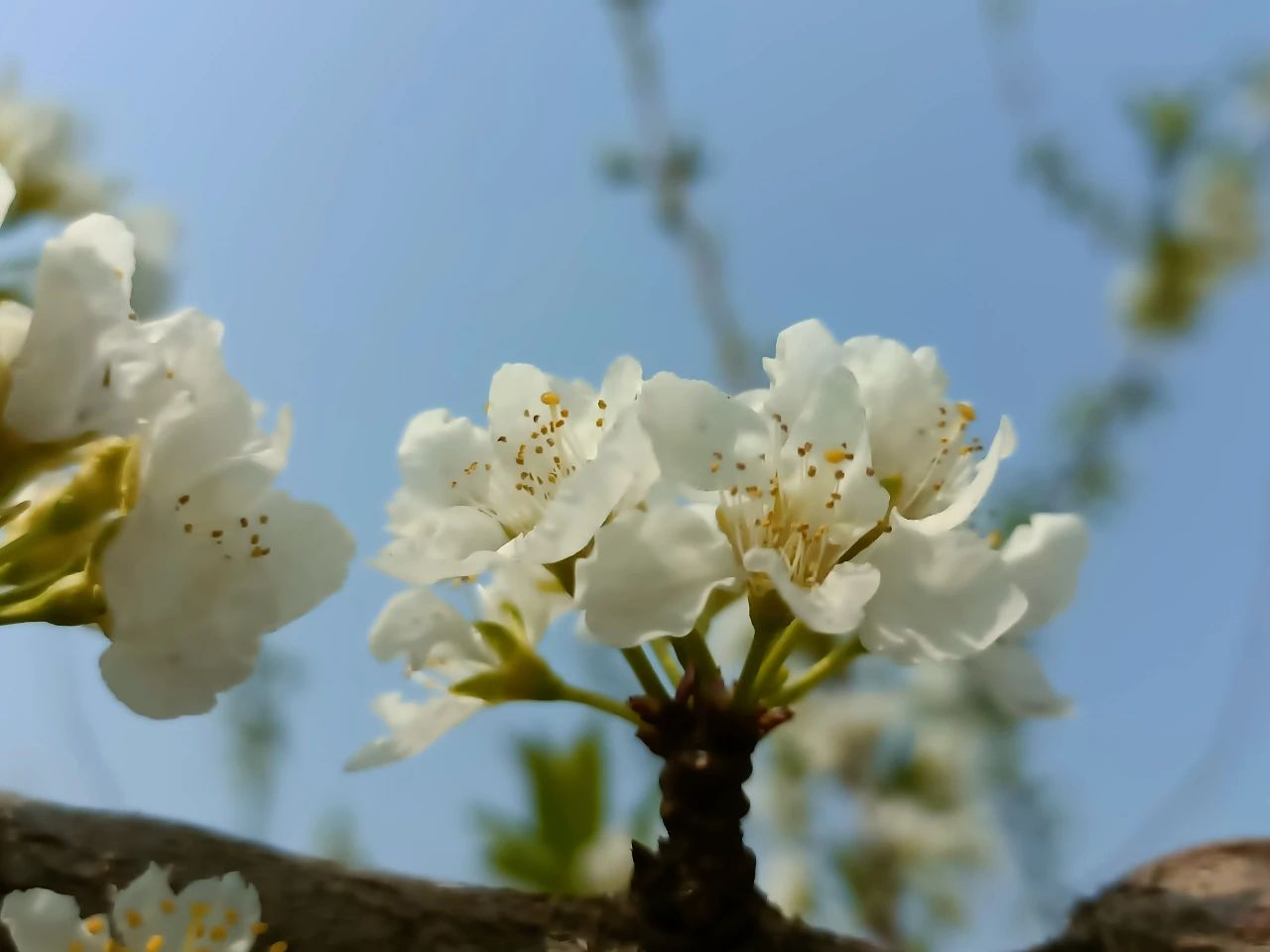 零點(diǎn)花開(kāi)