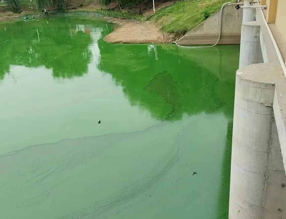 安慶西小湖水環境治理項目