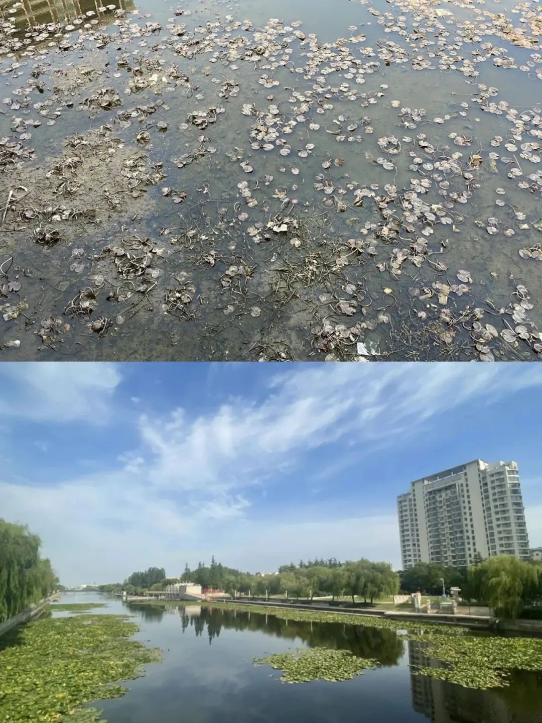 安慶西小湖水環境治理項目