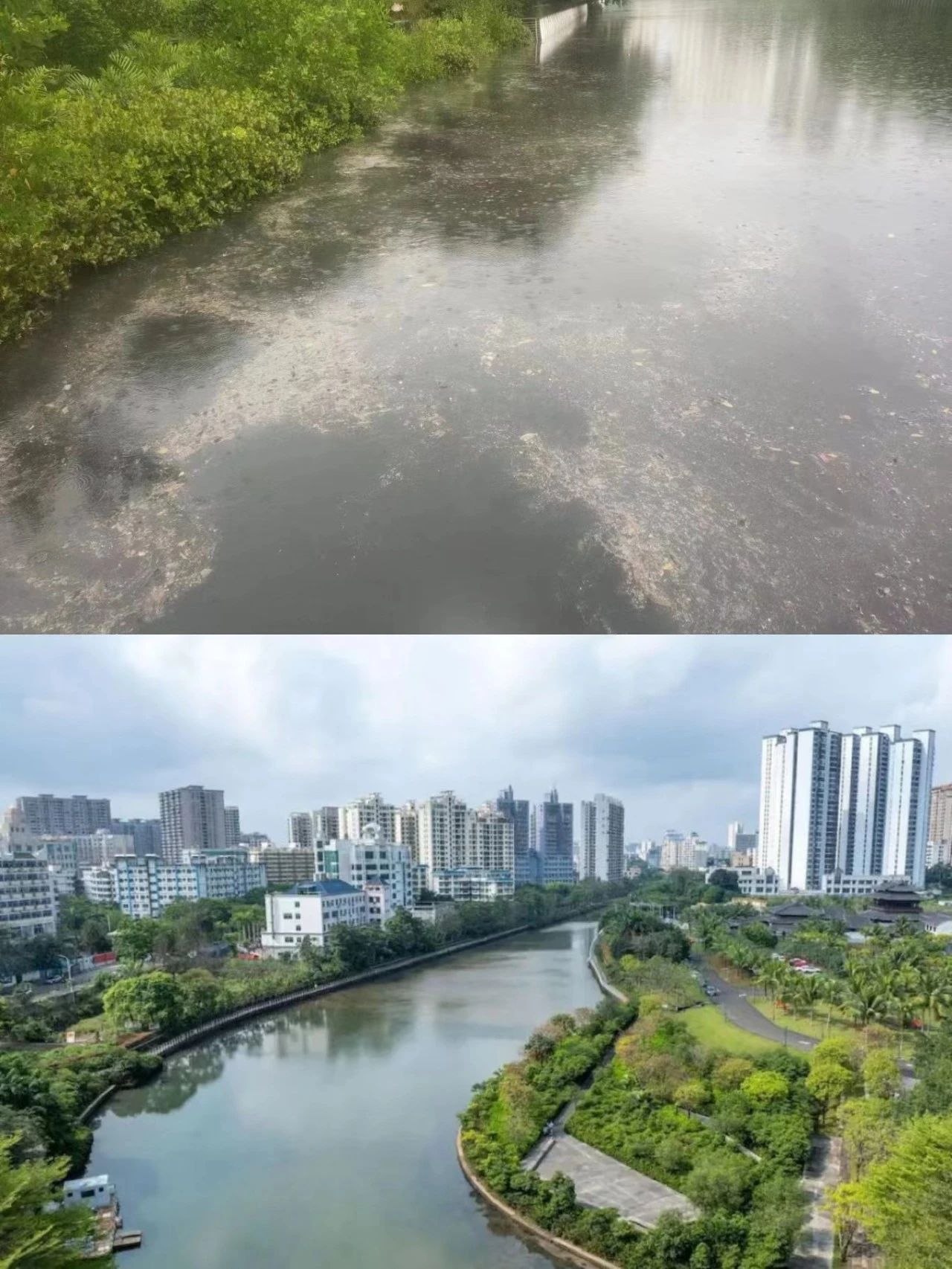 雷克環境