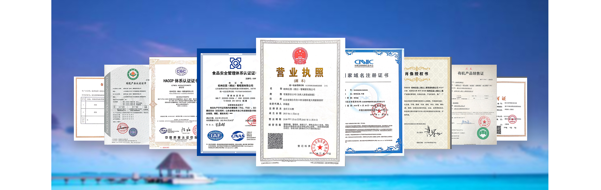 荣誉资质