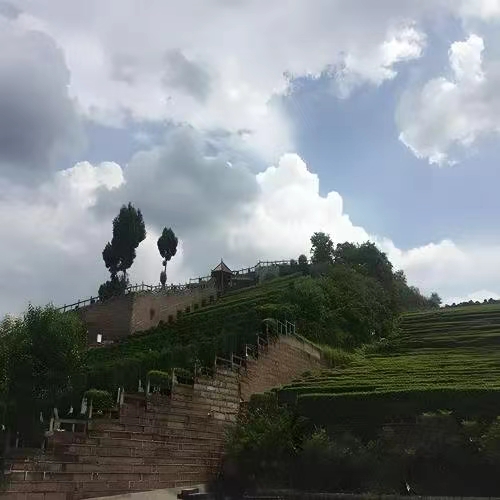 真武山憩园