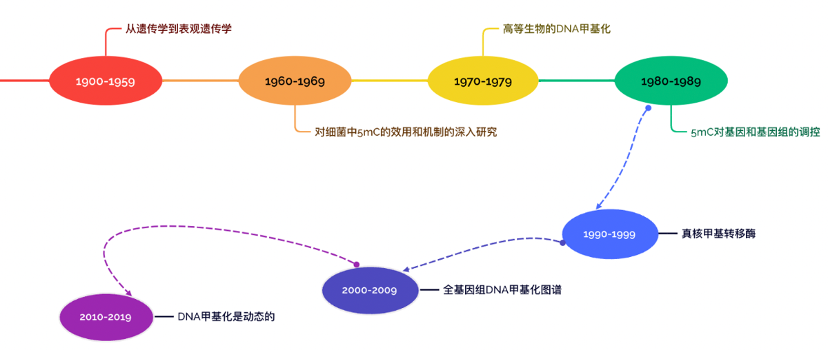 国自然