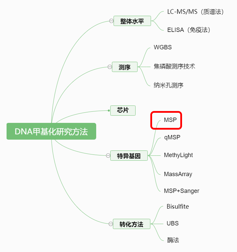 国自然