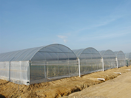 1723798936148349.jpg 蔬菜大棚厂家