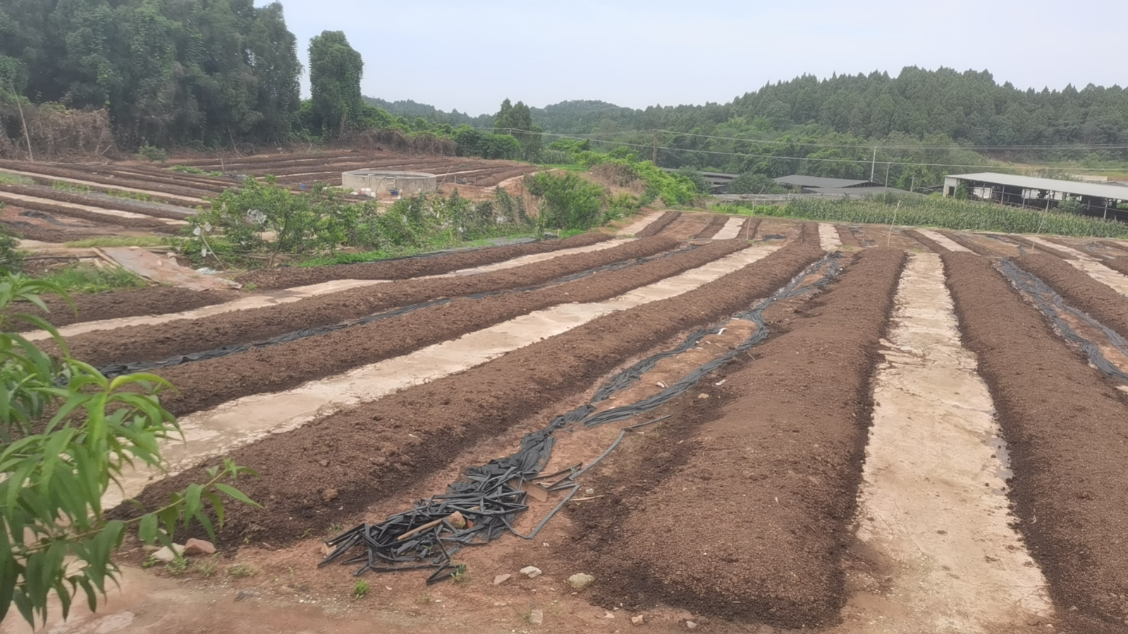 基地环境