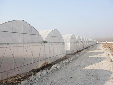 蔬菜大棚建造厂家