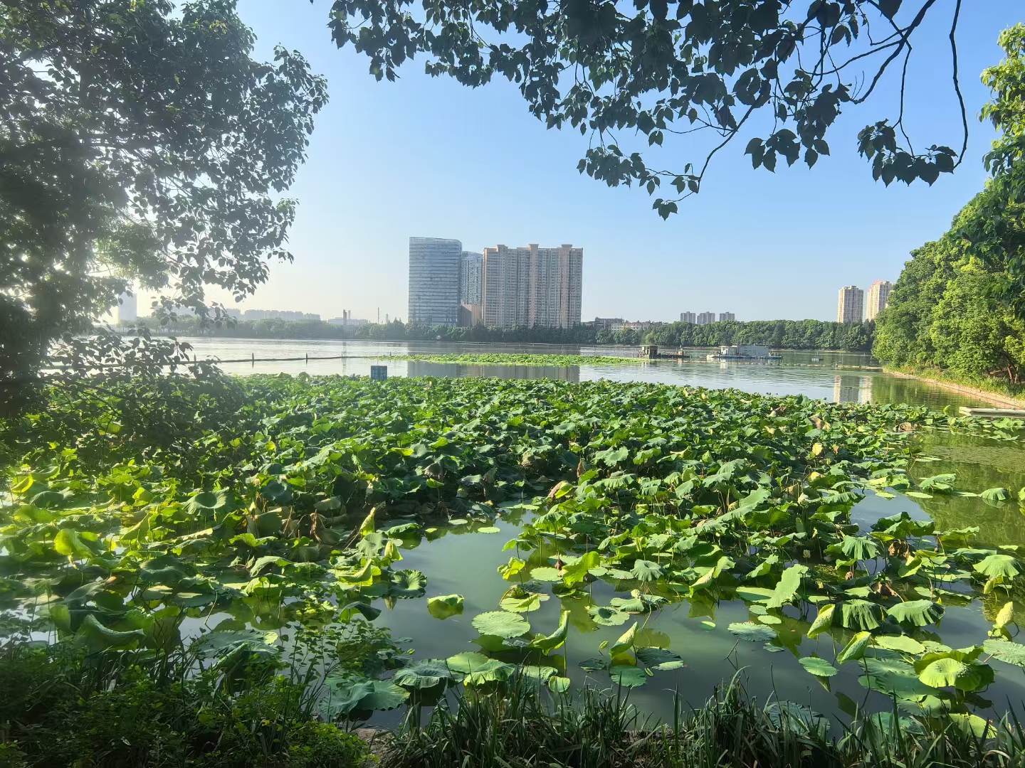 雷克環境