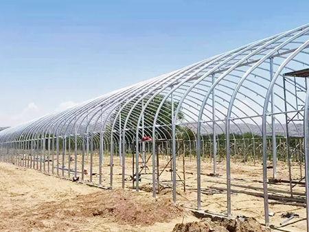 生态循环养殖大棚