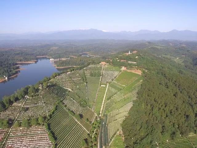 白塔山公墓园区景观
