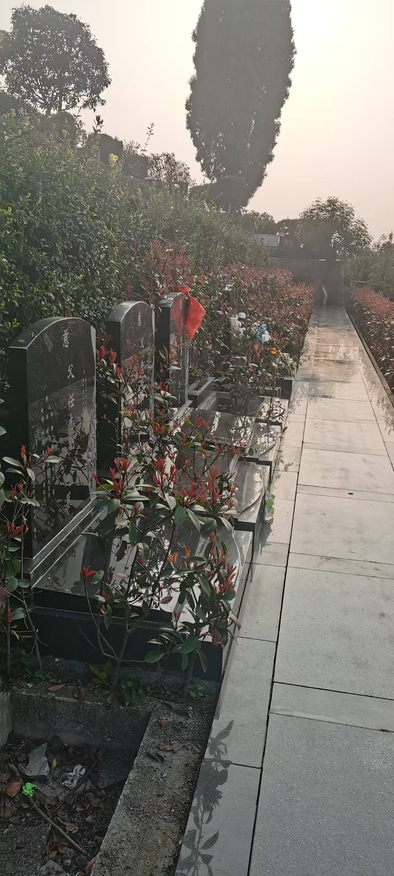 白塔山公墓园区景观