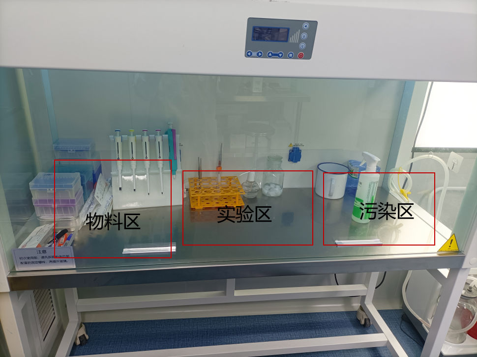 生物