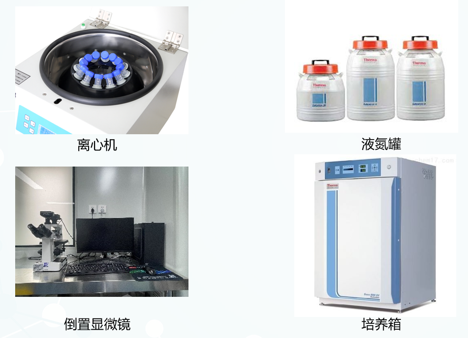 生物