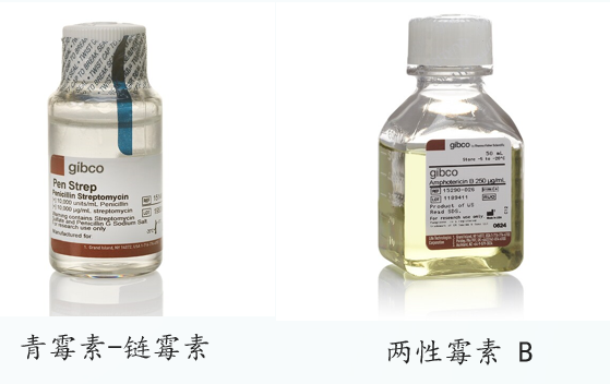 生物