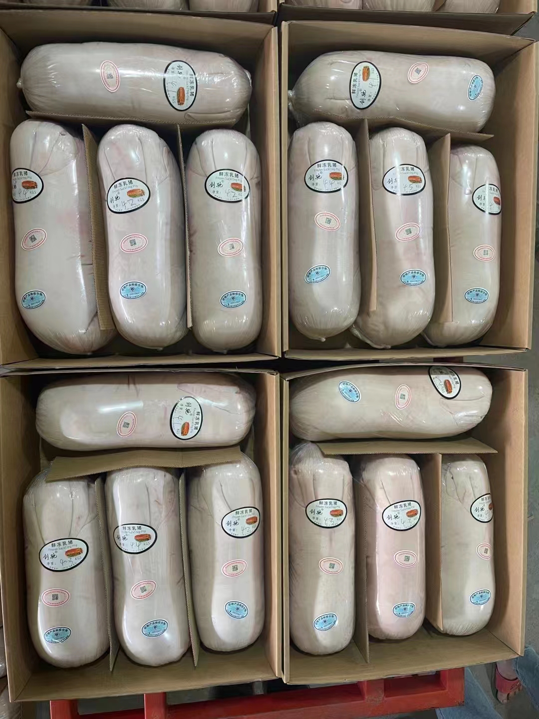 千之润创池乳猪（圈养家猪品种）