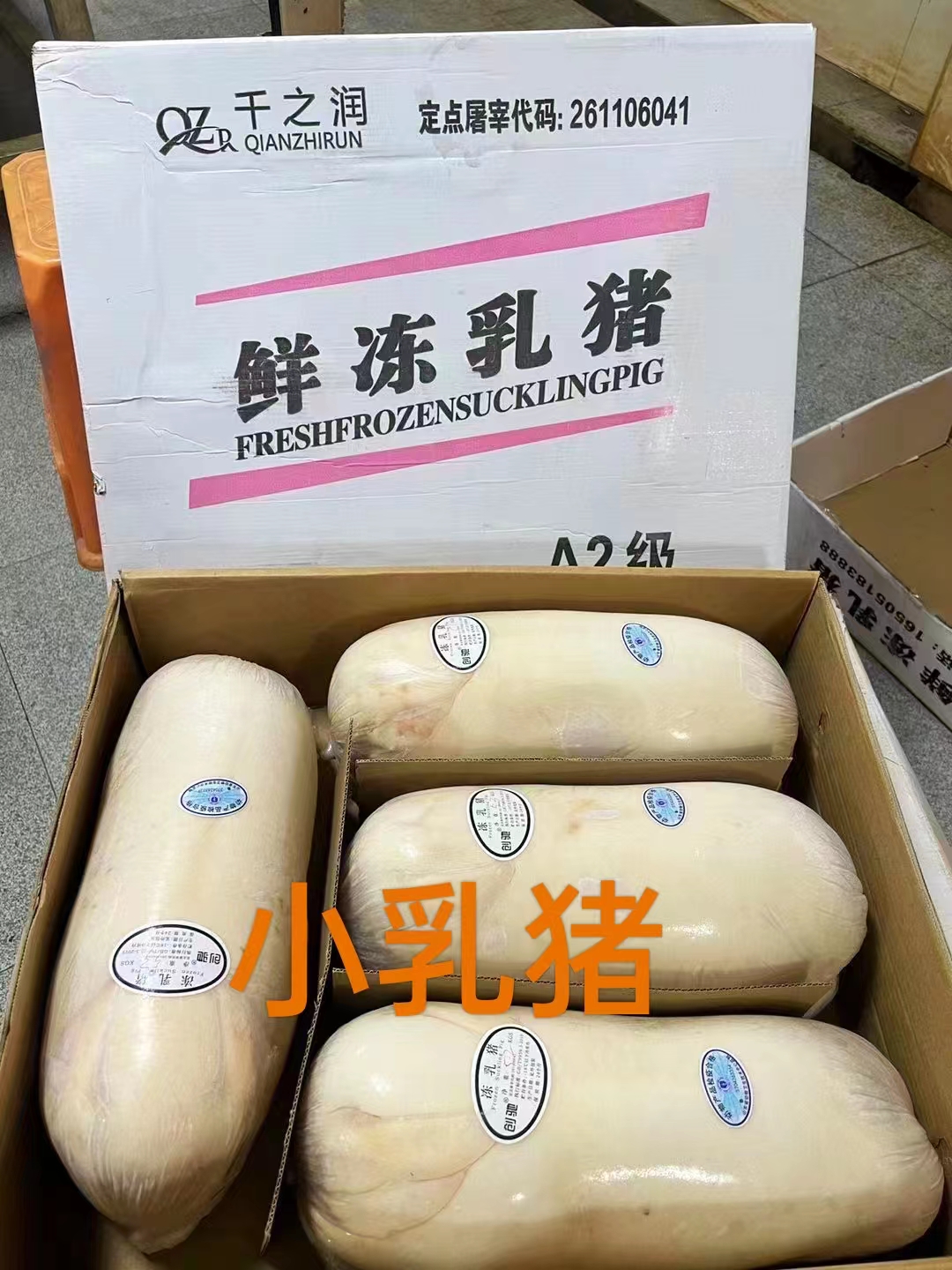 千之润创池乳猪（圈养家猪品种）