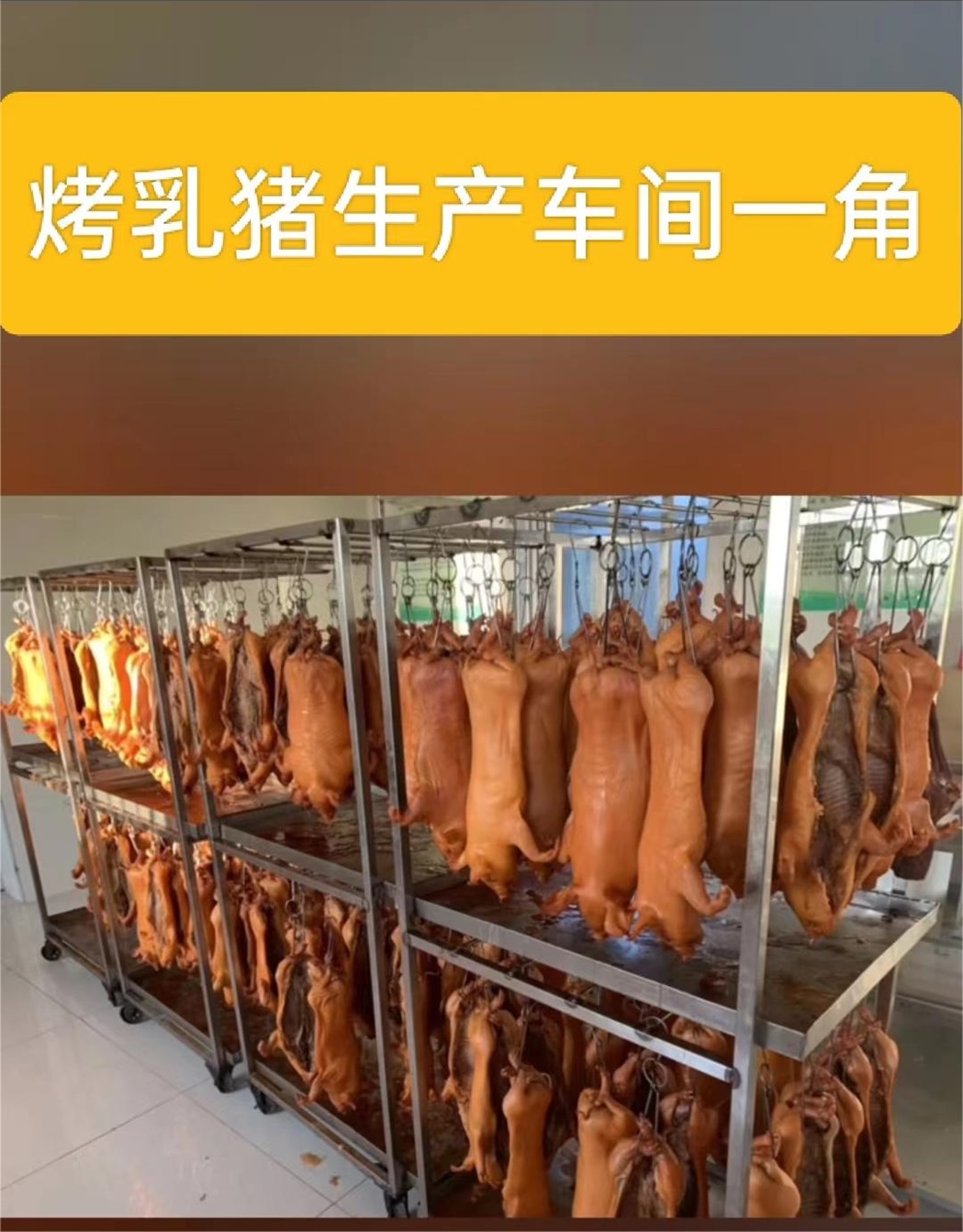 千之润创池乳猪半成品烤乳猪