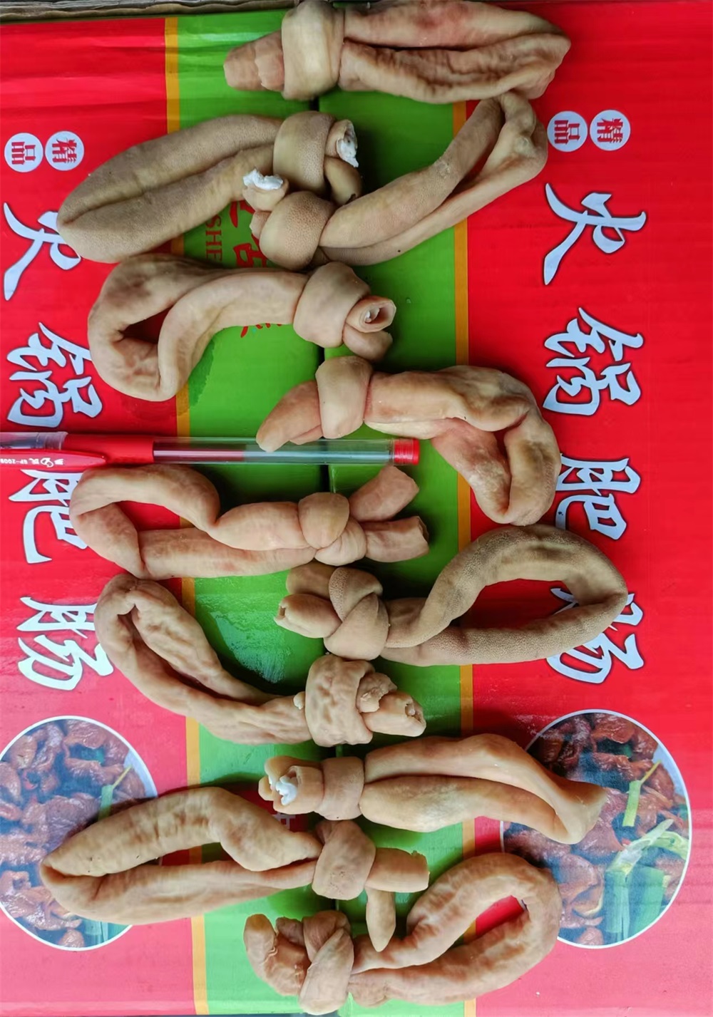 【龙小旺】小熟冒节子