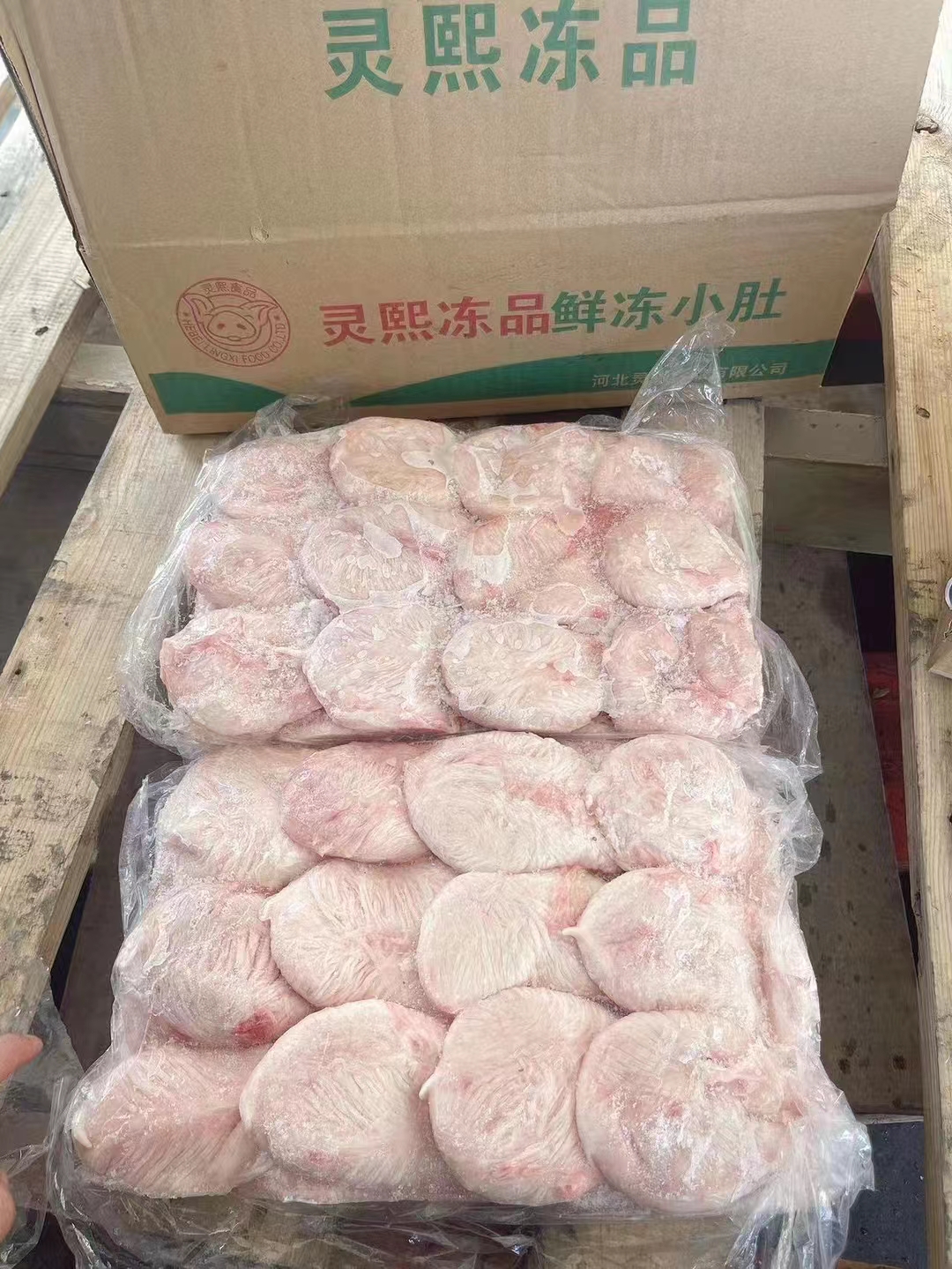 灵熙小肚