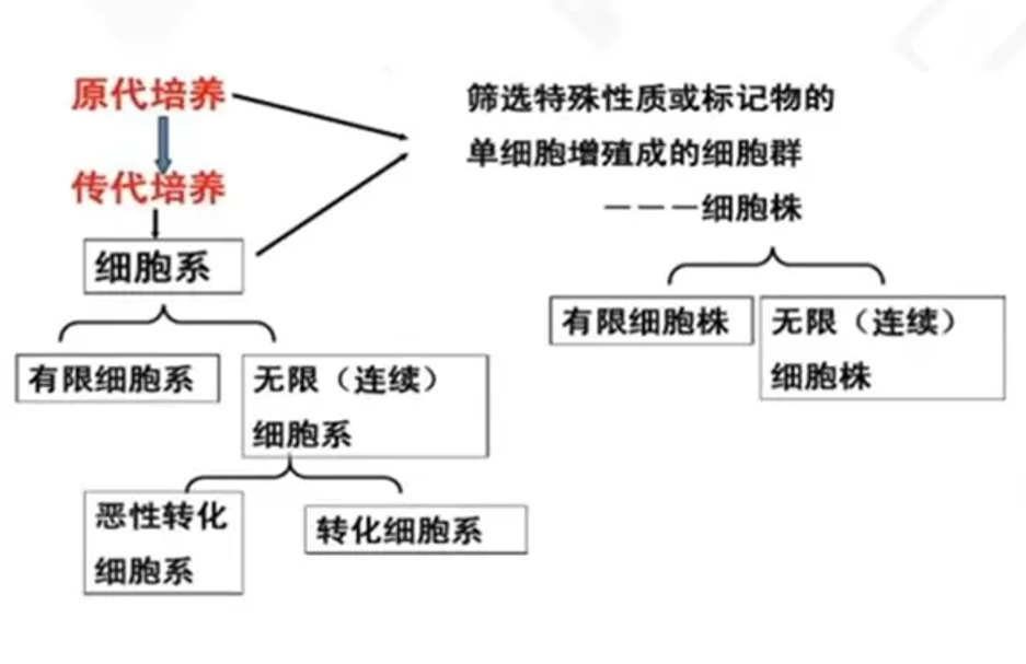 必修课