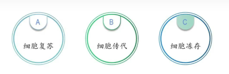必修课