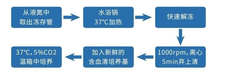 必修课