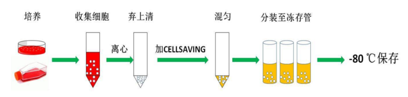 必修课