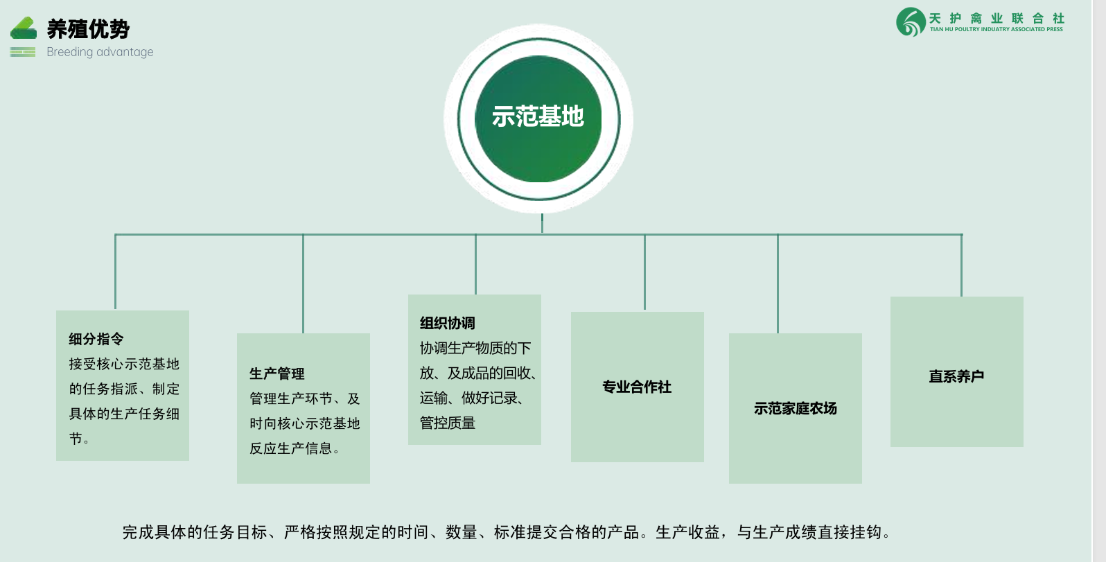 养殖技术与流程