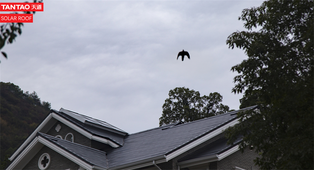 solar roof