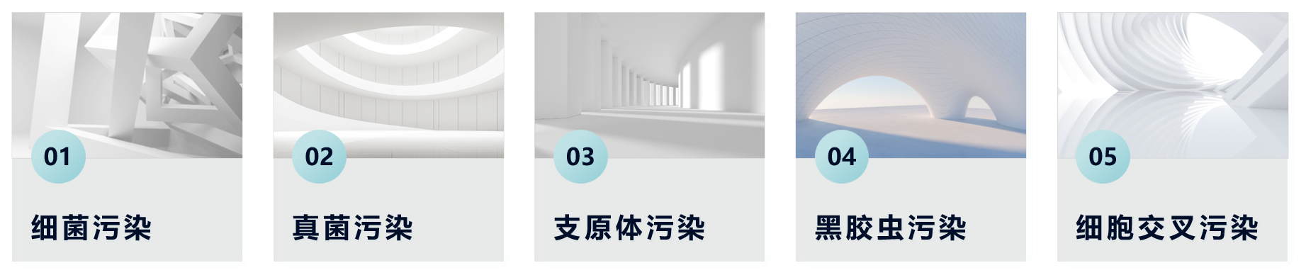入门必修