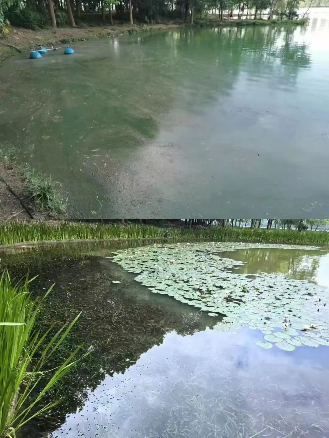 雷克環境