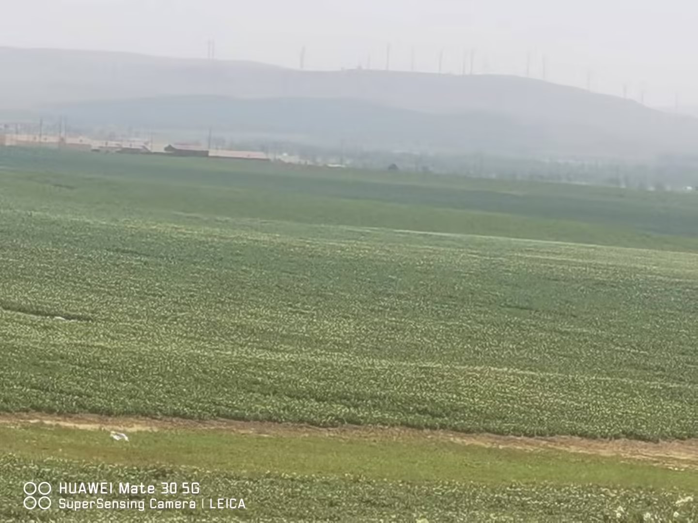 内蒙古种植基地